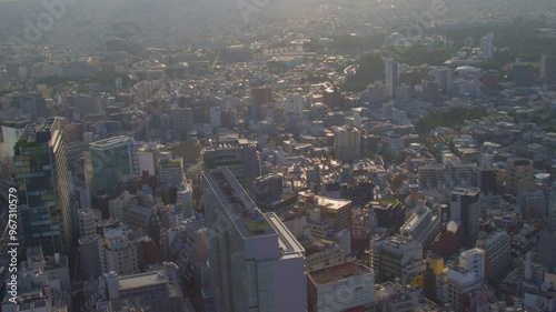 01 June 2023, Tokyo aerial cityscape panorama photo