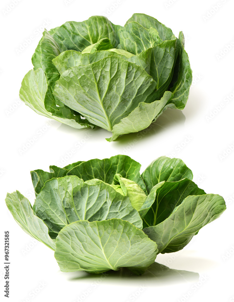 Obraz premium cabbage on a white background