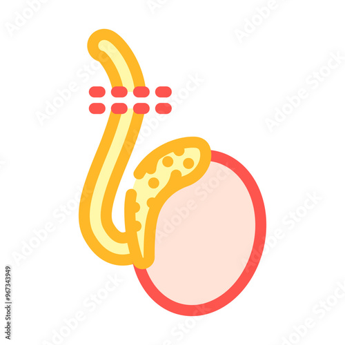 vasectomy surgery color icon vector. vasectomy surgery sign. isolated symbol illustration