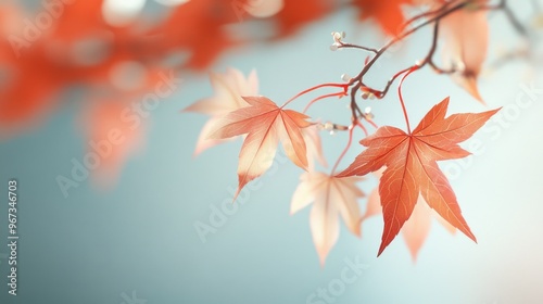 Autumn maple leaves background, fall backdrop