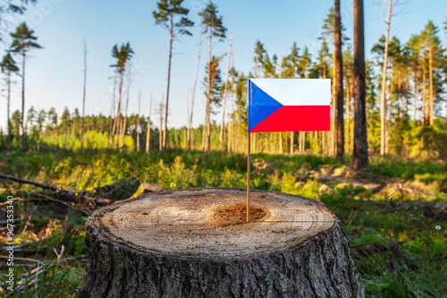 UN Climate Change Conference. Czech Republic Deforestation. Ecological disaster, deforestation in Kraj Vysocina and Jihocesky. Felled pine trees. photo