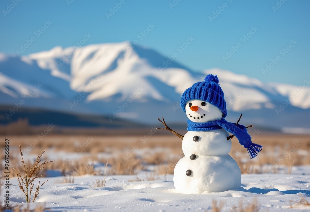 Obraz premium snowman on the snow