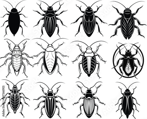 12 cockroach silhouettes or black and white icons or symbol sets. Vector art illustration.