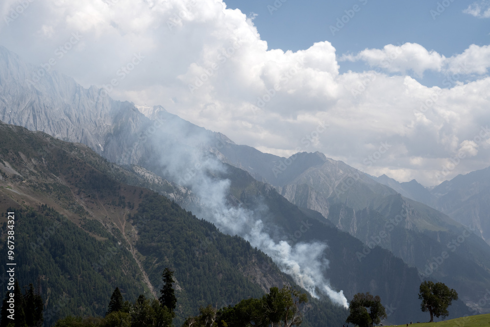 Wildfire in the Mountains, Smoke in the forest Wildfire in the Mountains, Smoke in the forest
