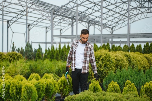 Vászonkép Gardener at work near sprouts of bushes and trees