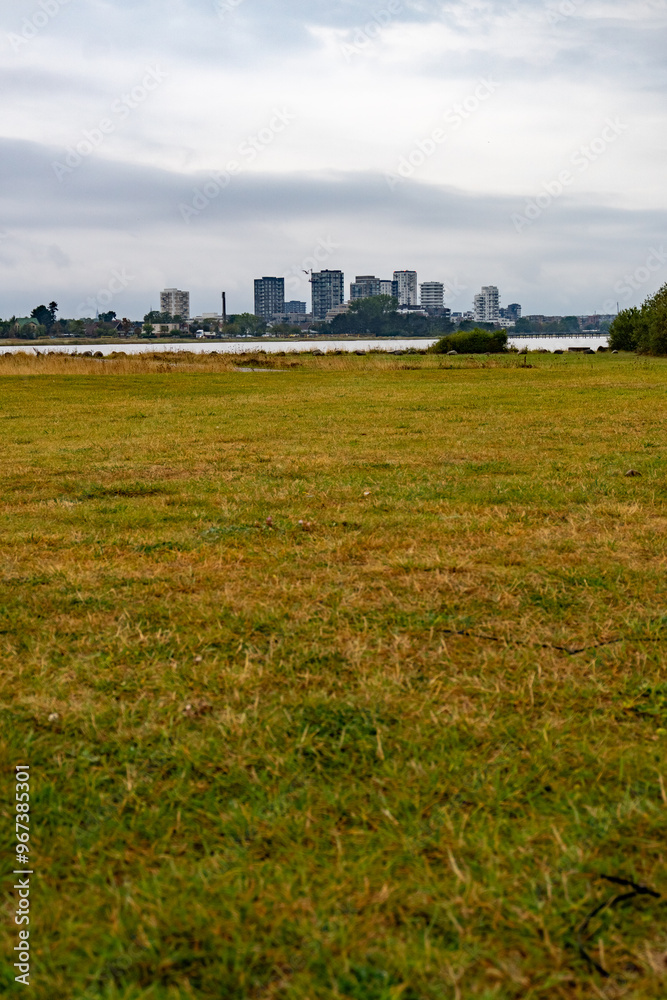 Expansive Field Facing a Distant Urban Skyline