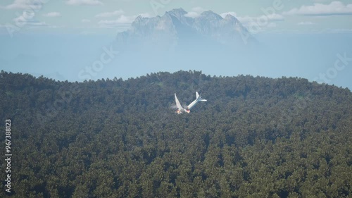 A rescue helicopter flies to the crash site of the plane. Plane ignites forest.