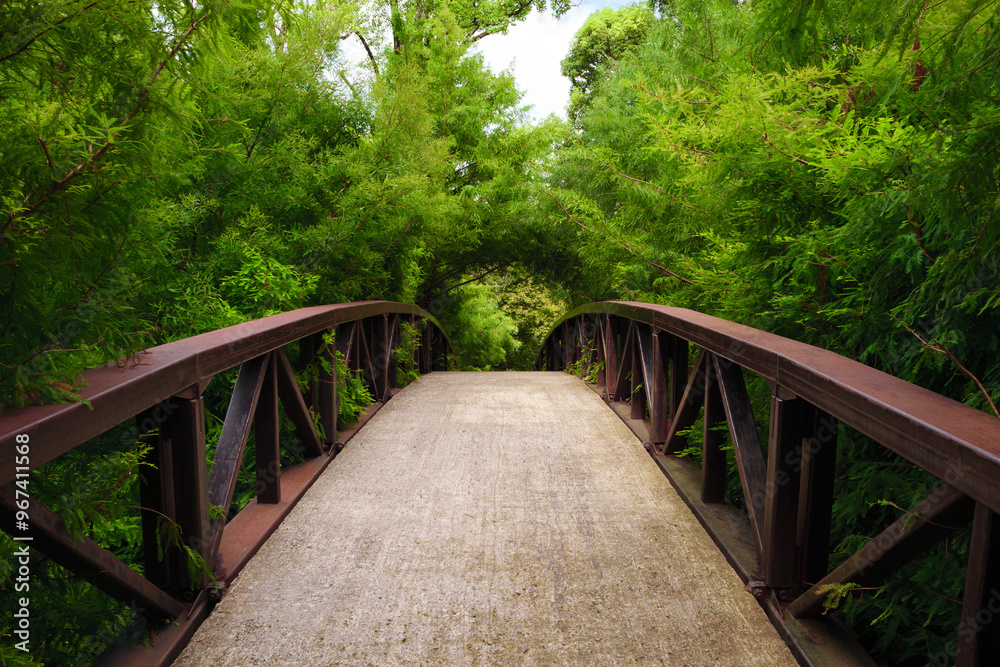 A peaceful concrete pathway leads across a bridge, enveloped by vibrant greenery from trees and shrubs, creating a serene atmosphere in the park, inviting visitors to explore. A peaceful concrete pathway leads across a bridge, enveloped by vibrant greenery from trees and shrubs, creating a serene atmosphere in the park, inviting visitors to explore.