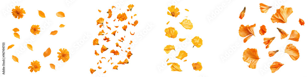 Four clusters of golden mineral crystals on a black background, showcasing organic and irregular shapes. Perfect for geology and mineralogy projects. Four clusters of golden mineral crystals on a black background, showcasing organic and irregular shapes. Perfect for geology and mineralogy projects.