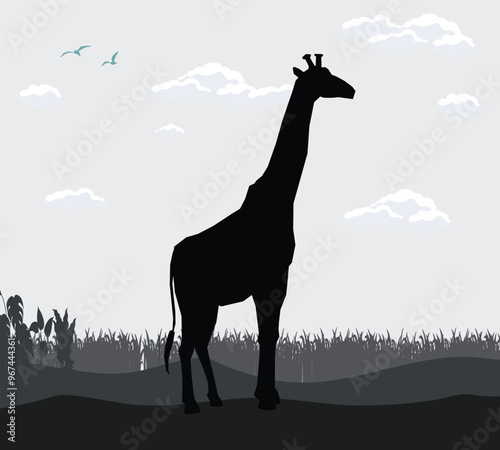 sky shadow of forest scene animal background