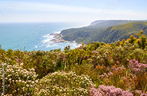 Eine Reise durch Südafrika. Unterwegs im Tsitsikamma Nationalpark. photo