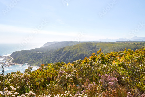 Eine Reise durch Südafrika. Unterwegs im Tsitsikamma Nationalpark. photo