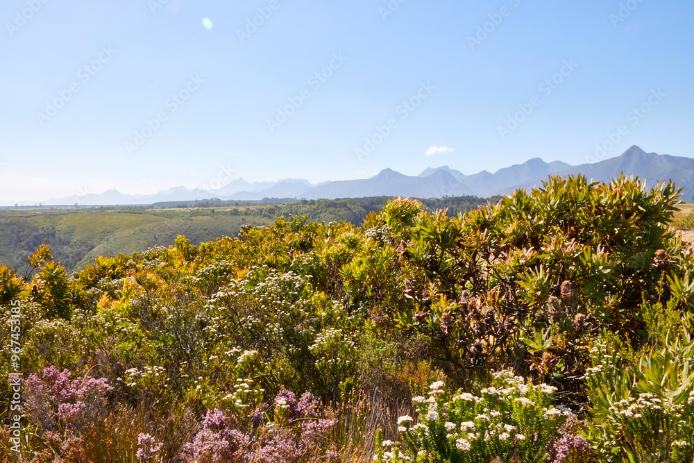 Eine Reise durch Südafrika. Unterwegs im Tsitsikamma Nationalpark. Eine Reise durch Südafrika. Unterwegs im Tsitsikamma Nationalpark.