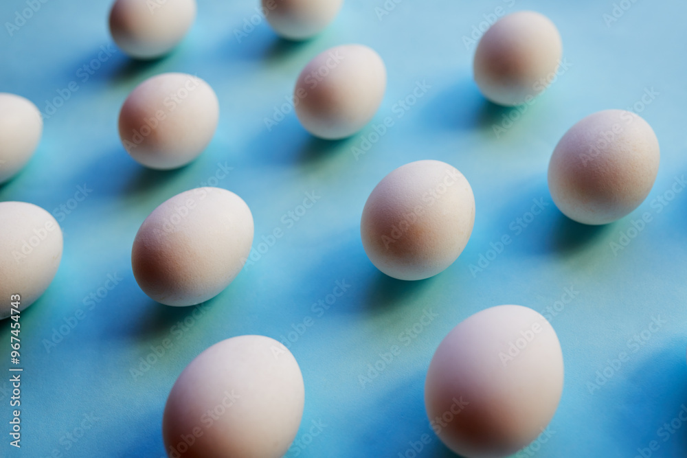 Eggs, row and shell with shadow in studio for creativity, reproduction and fertility treatment. Healthy, development and oocyte for growth, family planning and ivf donation on blue background Eggs, row and shell with shadow in studio for creativity, reproduction and fertility treatment. Healthy, development and oocyte for growth, family planning and ivf donation on blue background