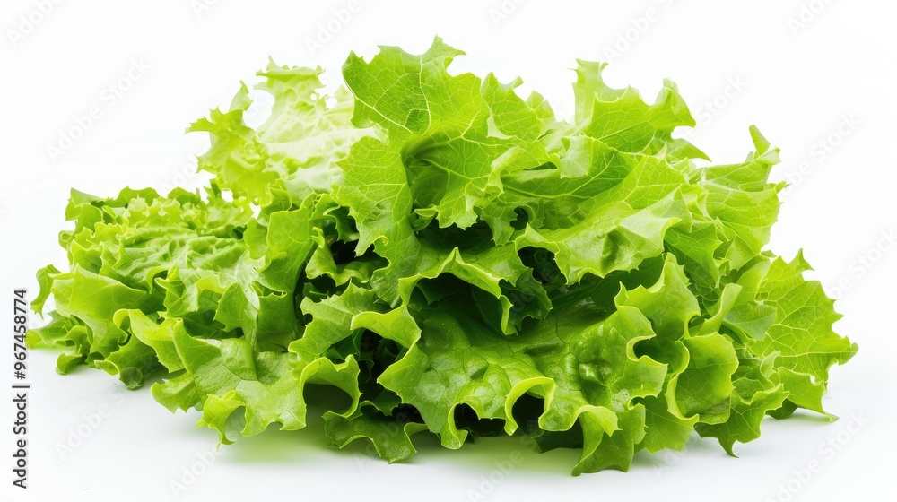 Crisp lettuce against white backdrop Crisp lettuce against white backdrop