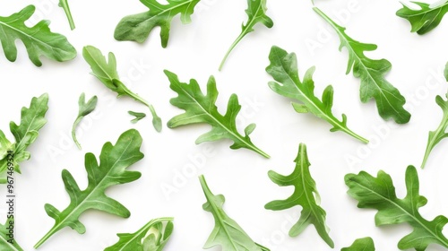 Fresh Green Arugula Leaves on White Background