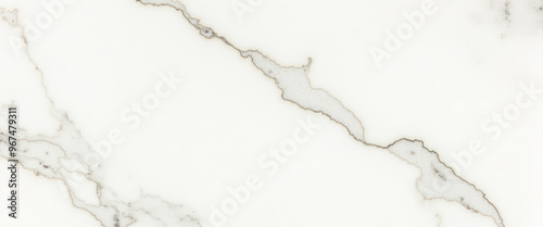 White Marble Texture with Gray Veins