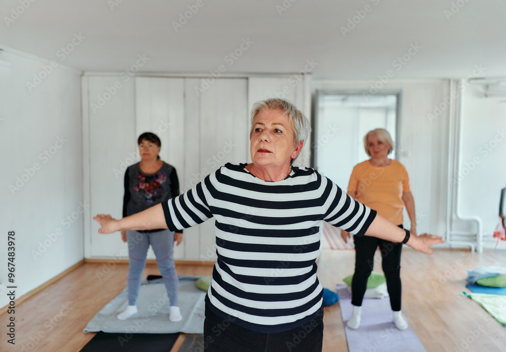Senior Women Embrace Wellness: Yoga and Stretching in a Sunlit Space Senior Women Embrace Wellness: Yoga and Stretching in a Sunlit Space