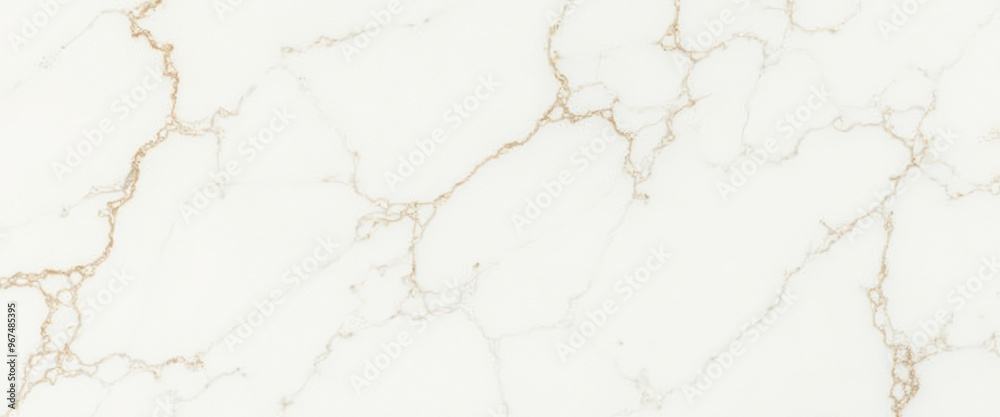 White Marble Texture with Golden Veins White Marble Texture with Golden Veins