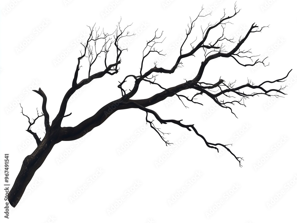 Fototapeta premium Isolated Bare Tree Branch with Dark Silhouette on White Background - Minimalistic Nature Element Perfect for Artistic, Abstract, and Natural Themes