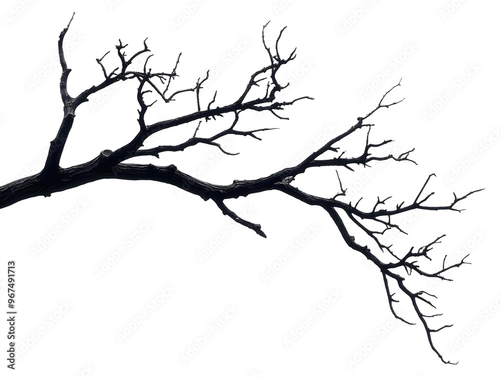 Isolated Bare Tree Branch with Dark Silhouette on White Background - Minimalistic Nature Element Perfect for Artistic, Abstract, and Natural Themes Isolated Bare Tree Branch with Dark Silhouette on White Background - Minimalistic Nature Element Perfect for Artistic, Abstract, and Natural Themes