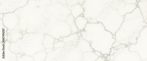 White Marble Texture with Grey Veins