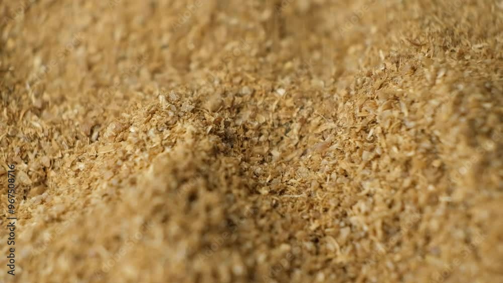 Ground Coriander Grains Pouring Slow Motion Ground Coriander Grains Pouring Slow Motion