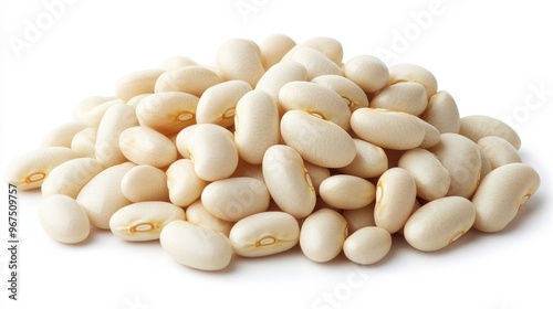 Freshly Harvested White Beans Displayed in a Natural Pile With Bright Lighting