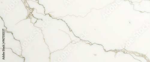White Marble Texture with Veins