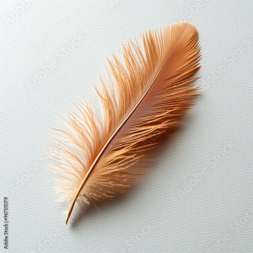 A close-up of a single feather resting on a smooth surface photo