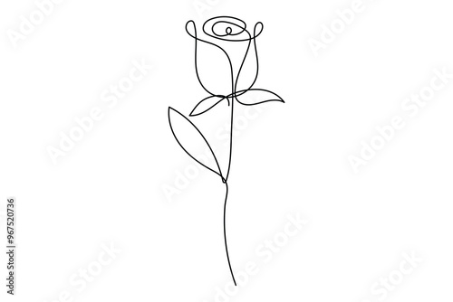 Continuous single line of rose flower drawing outline vector art illustration
