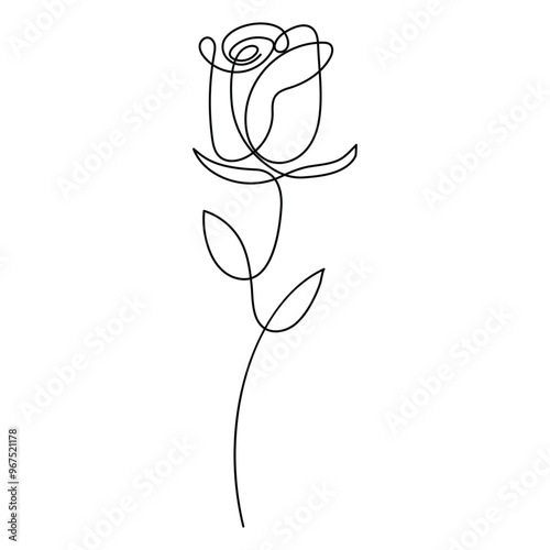 Continuous single line of rose flower drawing outline vector art illustration
