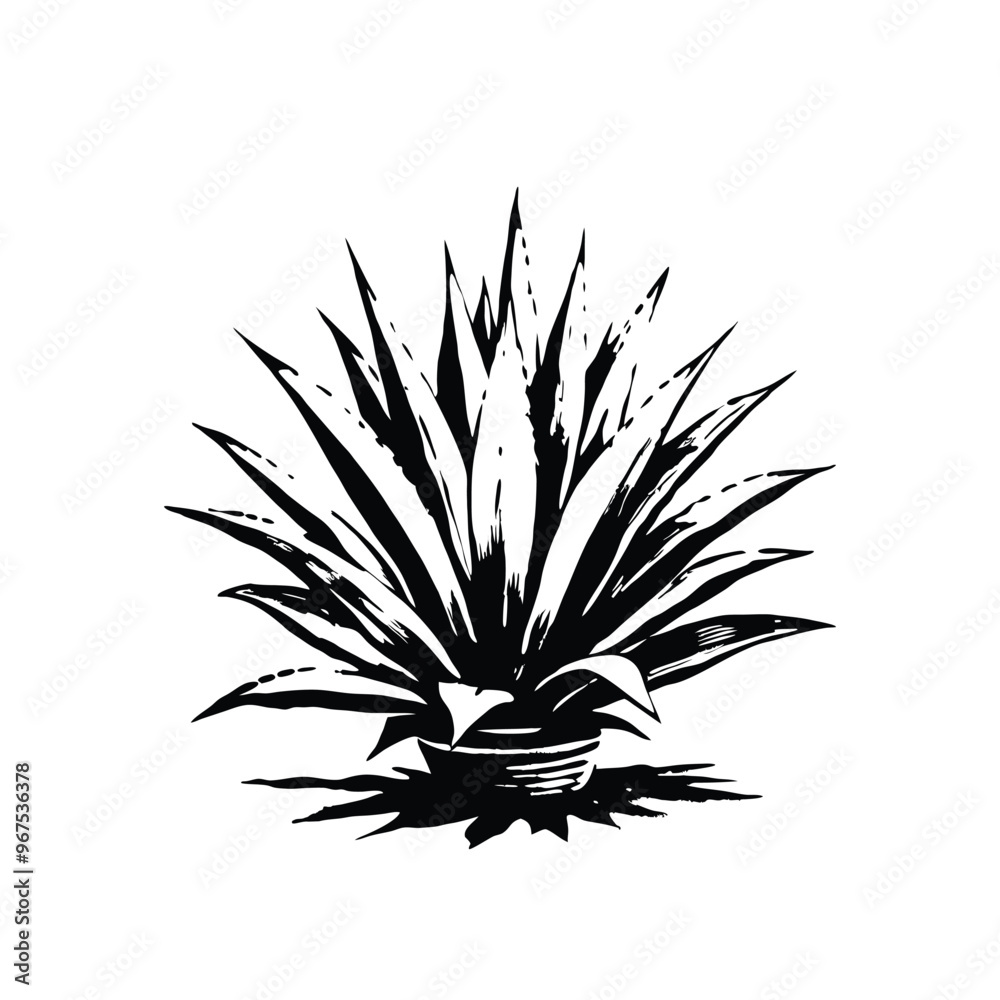 Fototapeta premium agave stencil vector hand drawn illustration