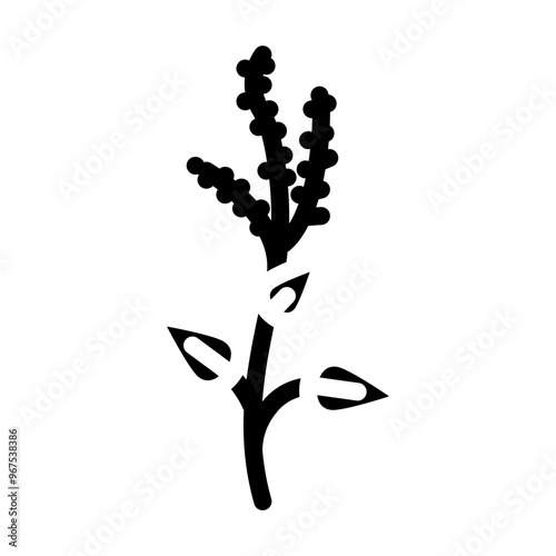 holy basil ayurvedic herb glyph icon vector. holy basil ayurvedic herb sign. isolated symbol illustration