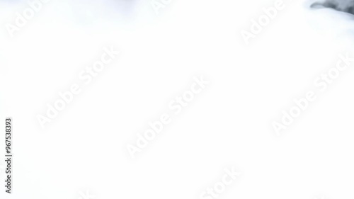 smoke effect, abstract background