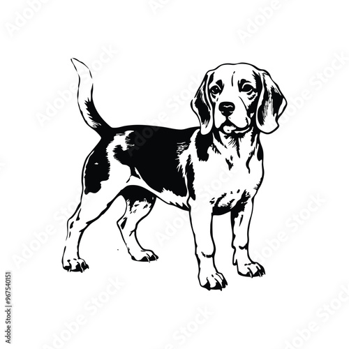 beagle dog stencil vector hand drawn illustration