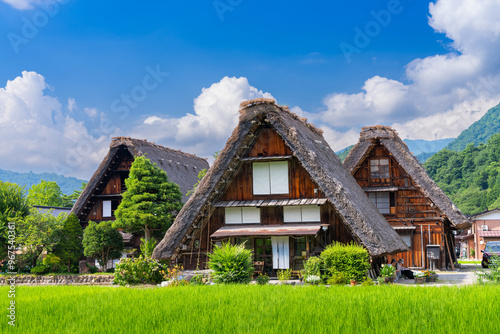 Shirakawa Village in Japan During Summer Season