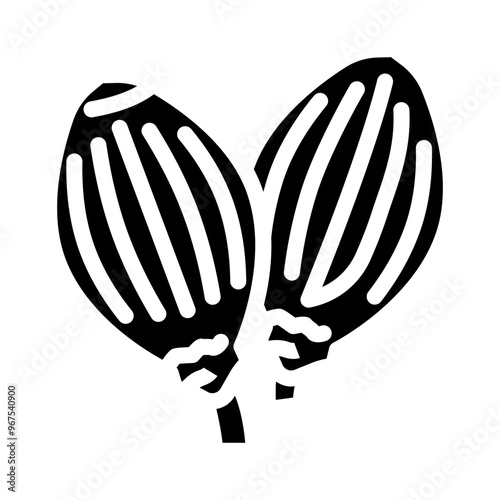 coriander seeds ayurvedic herb glyph icon vector. coriander seeds ayurvedic herb sign. isolated symbol illustration