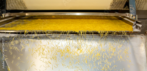 Pasta factory. Close-up of raw pasta on machines and conveyor. Pasta production equipment. Modern manufacturing plant of the pasta industry. photo