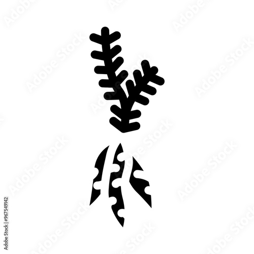 shatavari ayurvedic herb glyph icon vector. shatavari ayurvedic herb sign. isolated symbol illustration