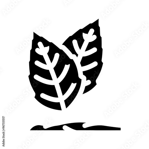 holy basil ayurvedic herb glyph icon vector. holy basil ayurvedic herb sign. isolated symbol illustration