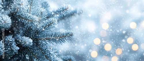 Close up of fir branches and christmas tree and snowy light blue background with sparkling lights