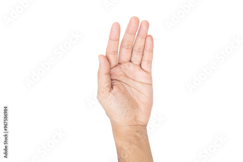 Wallpaper Mural male hand sign on white background Torontodigital.ca