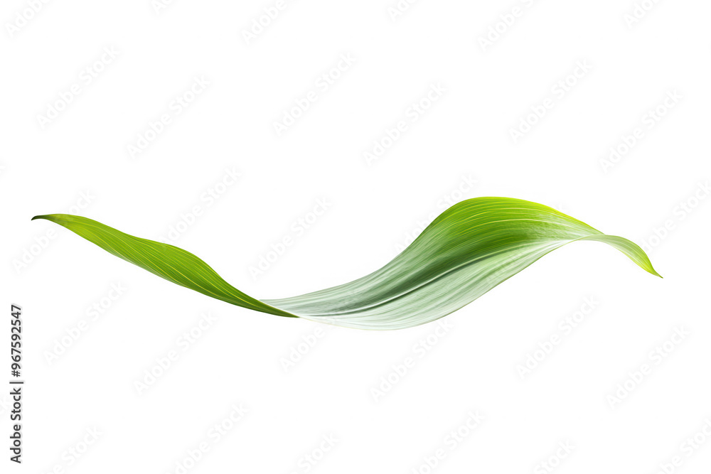 A smooth, elongated green leaf showcasing natural beauty and simplicity. A smooth, elongated green leaf showcasing natural beauty and simplicity.