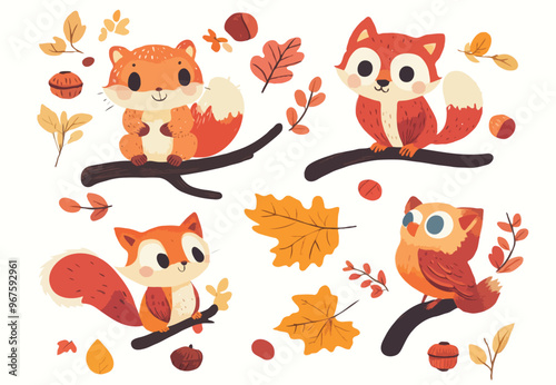 squirrel set