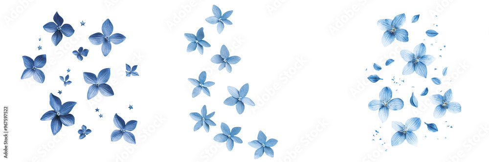 Fototapeta premium falling blue star blossoms on white background, transparent background