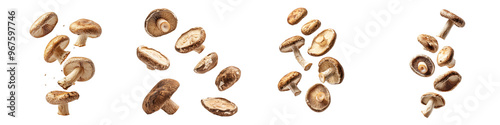 falling dried shiitake mushrooms on white background, transparent background