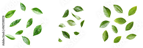 falling mulukhiyah leaves on white background, transparent background