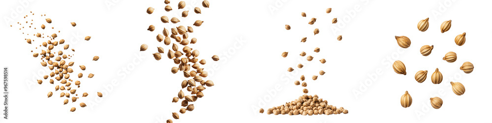 custom made wallpaper toronto digitalfalling coriander seeds on white background, transparent background