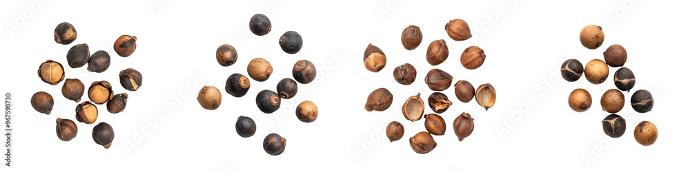 falling ripe guarana seeds on white background, full depth of field, transparent background falling ripe guarana seeds on white background, full depth of field, transparent background